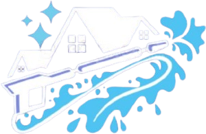 Careys Washing Services logo no text